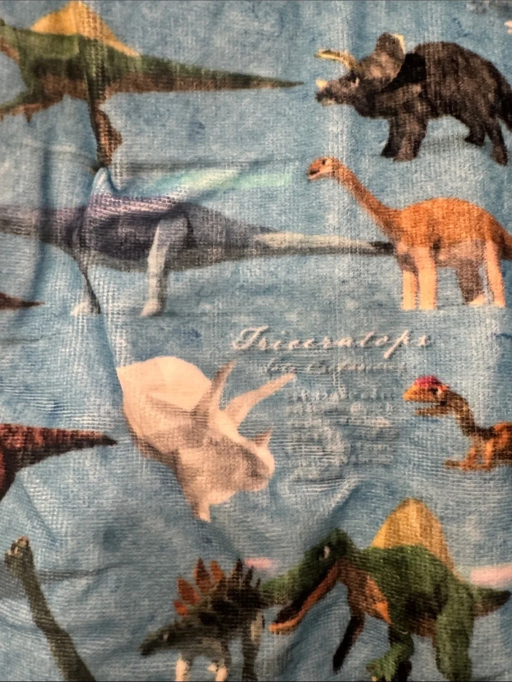 Dinosaur Pool or Bath Towel For Kids, 25.6 inches Length, Dinosaur World print